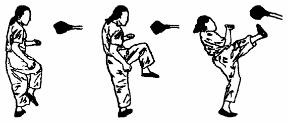 Да-цзе-шу — искусство пресечения боя - pic201.png