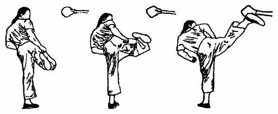 Да-цзе-шу — искусство пресечения боя - pic235.png