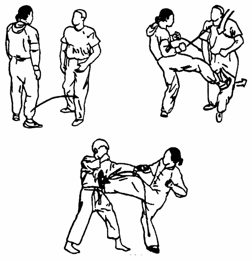 Да-цзе-шу — искусство пресечения боя - pic236.png