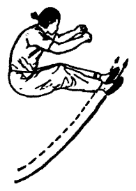 Да-цзе-шу — искусство пресечения боя - pic313.png