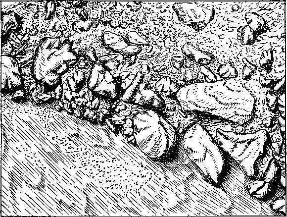 Ледники в горах - i_023.png