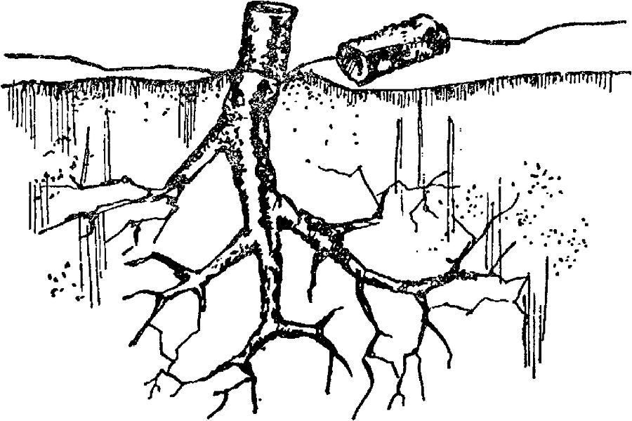 Я познаю мир. Драгоценные камни и минералы - image52.png