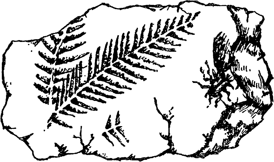 Я познаю мир. Драгоценные камни и минералы - image53.png