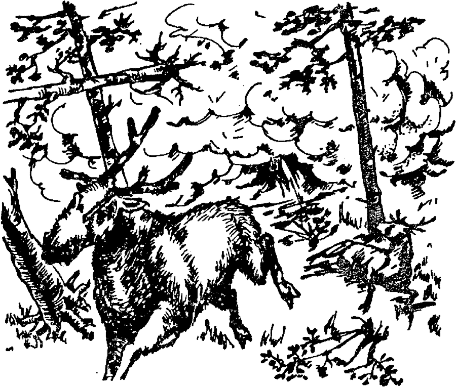 Я познаю мир. Драгоценные камни и минералы - image73.png