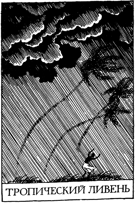 Необыкновенное и грозное в природе - i_017.png