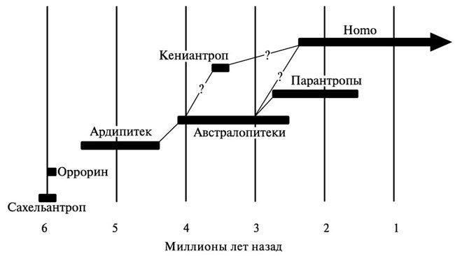 Неандертальцы: история несостоявшегося человечества - img_03_01.jpg