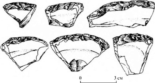 Неандертальцы: история несостоявшегося человечества - img_05_07.jpg