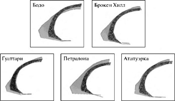 Неандертальцы: история несостоявшегося человечества - img_07_03.jpg