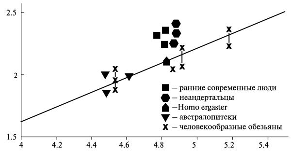 Неандертальцы: история несостоявшегося человечества - img_07_05.jpg