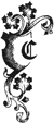 Дядя Сайлас. История Бартрама-Хо - i_001.png