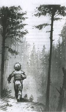 Принц из страны облаков - pic_125.jpg