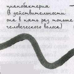Принц из страны облаков - pic_88.jpg