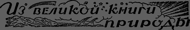 Всемирный следопыт 1930 № 05 - _45_izknigi.png