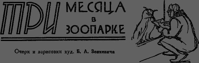 Всемирный следопыт 1929 № 10 - _19_vzoo.png