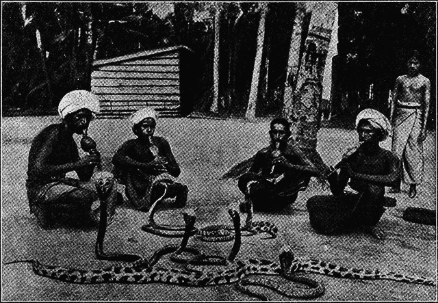 Всемирный следопыт 1928 № 03 - _29_str213.png