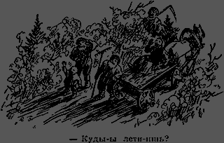 Всемирный следопыт 1926 № 12 - _13_str222.png
