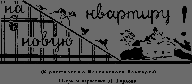 Всемирный следопыт 1926 № 12 - _33_kvartira.png