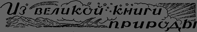 Всемирный следопыт 1926 № 12 - _56_priroda.png