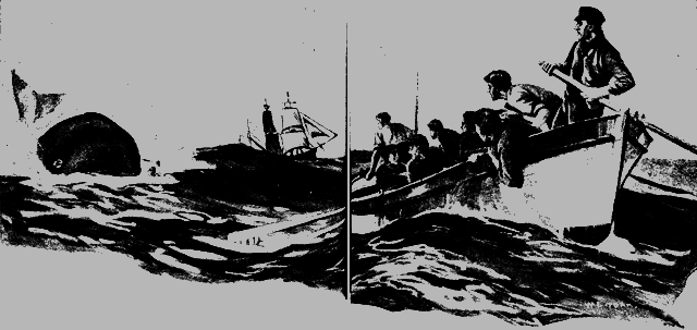 Всемирный следопыт 1926 № 11 - _36_str6465.png