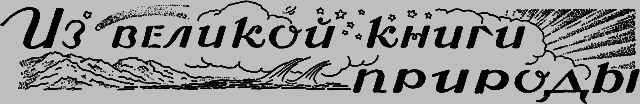 Всемирный следопыт 1926 № 10 - _49_izknigi.png