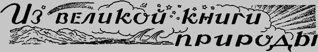 Всемирный следопыт 1926 № 08 - _69_izknigi.png