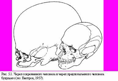 Теория адекватного питания и трофология - _15.jpg