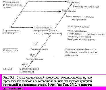 Теория адекватного питания и трофология - _28.jpg