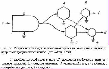 Теория адекватного питания и трофология - _6.jpg