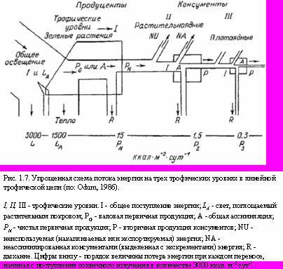 Теория адекватного питания и трофология - _7.jpg
