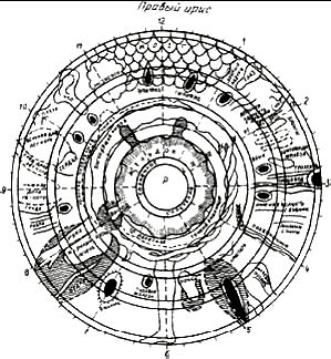 Секреты целителей Востока - i_007.png