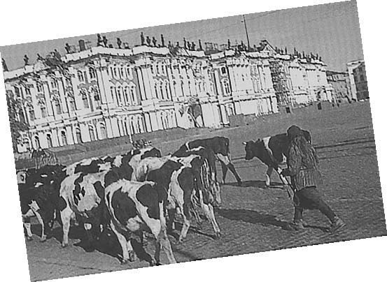 Школа жизни. Воспоминания детей блокадного Ленинграда - i_031.jpg