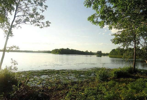 Ржевско-Вяземские бои. Часть 2 - _247.jpg