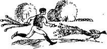 Рози – моя родня (с иллюстрациями) - pic17.jpg