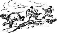 Рози – моя родня (с иллюстрациями) - pic48.jpg