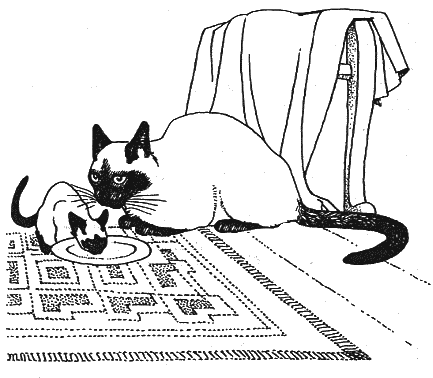 Новый мальчик - i_012.png