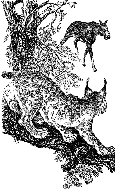 Найденыш - i_003.png