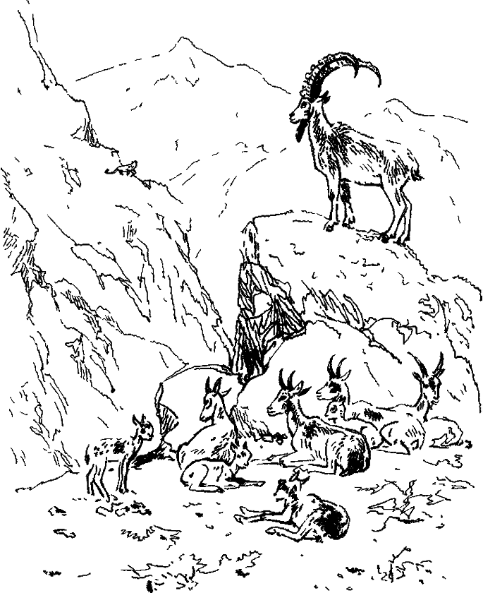 Хозяин небесных гор - i_002.png