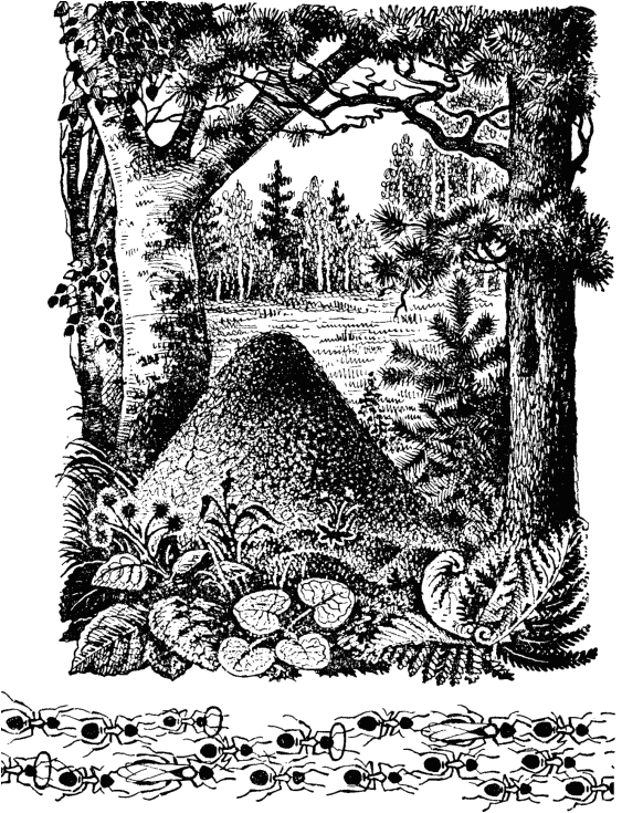 Маленькие труженики леса - _000.png