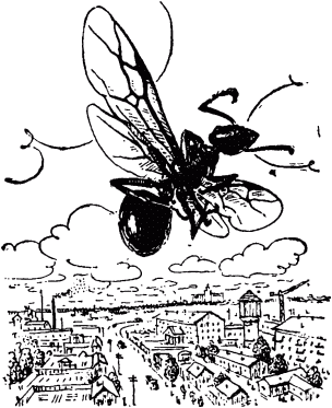 Маленькие труженики леса - _042.png