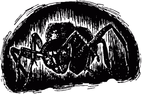 Маленькие труженики леса - _052.png