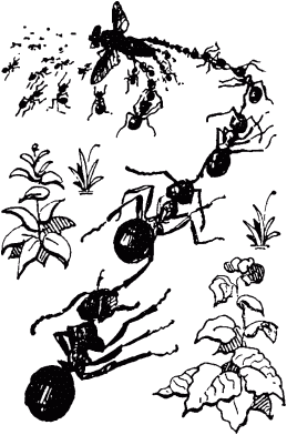 Маленькие труженики леса - _074.png