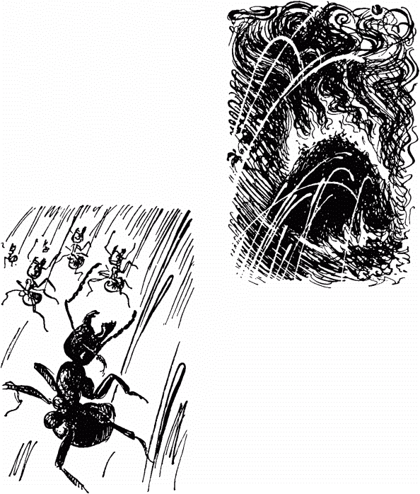 Маленькие труженики леса - _106.png