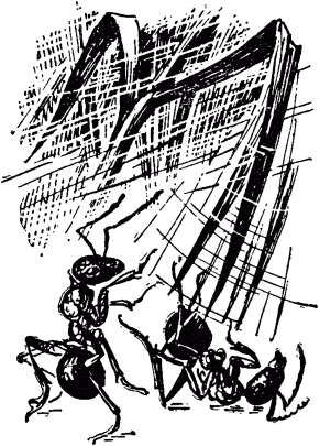 Маленькие труженики леса - _150.png