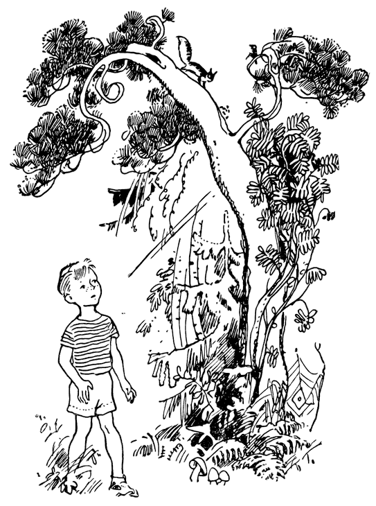 Агния Барто. Собрание сочинений в 3 томах. Том 3 - i_108.png