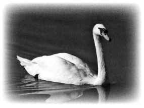 "Страна чудес" и другие рассказы - image21.jpg_0