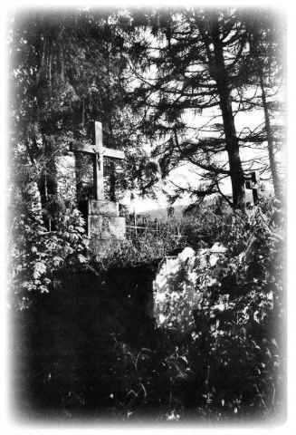 "Страна чудес" и другие рассказы - image27.jpg_0