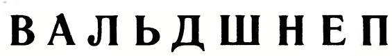 Про птиц - _17.jpg