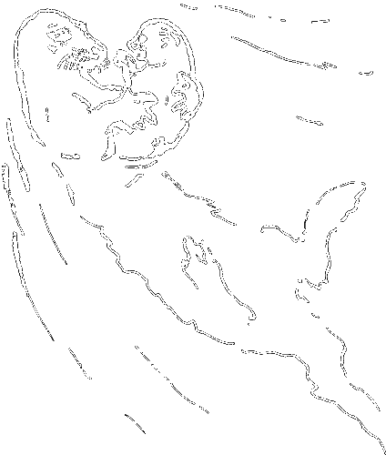 Гребень буйвола - i_005.png