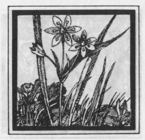 Избранные произведения в двух томах: том I - i_007.jpg