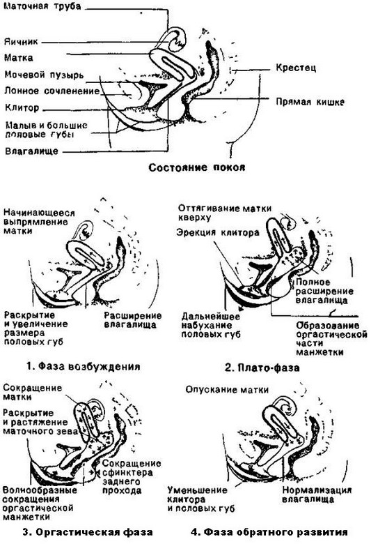 Женская сексопатология - i_001.jpg